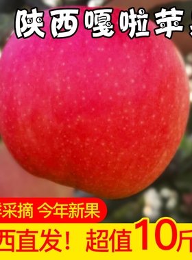 陕西当季苹果新鲜水果10斤装现摘脆甜红富士糖心应季丑萍整箱包邮