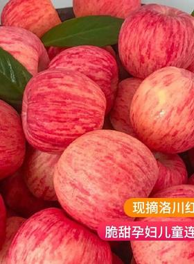 正宗陕西洛川苹果水果新鲜当季整箱红富士冰糖心特级脆甜10斤包邮