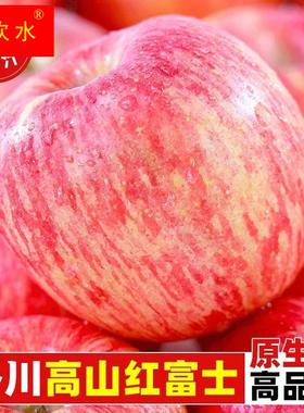 正宗陕西洛川红富士苹果5斤/10斤新鲜水果当季冰糖心整箱脆甜包邮