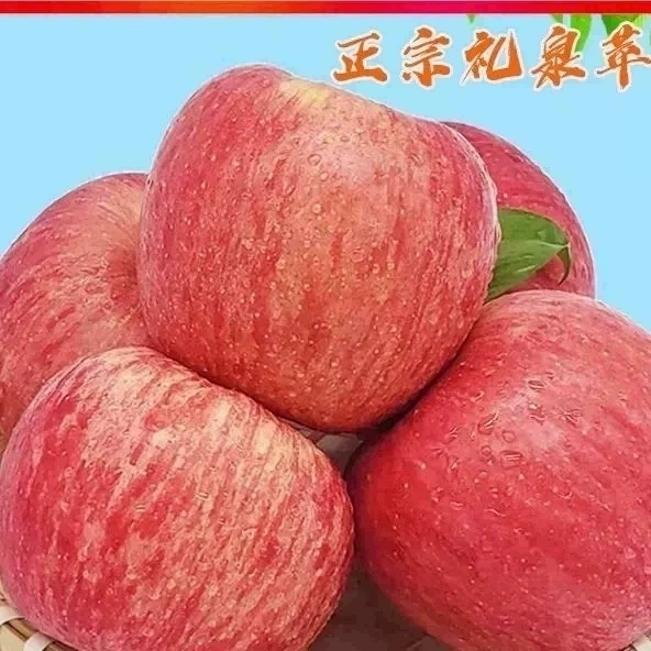 陕西礼泉特新鲜苹果水果10斤装正宗红富士脆甜冰糖心整箱同城包邮