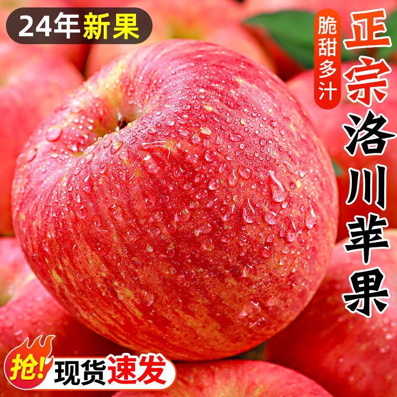 洛川苹果陕西正宗产地直发红富士水果新鲜当季脆甜冰糖心10斤包邮