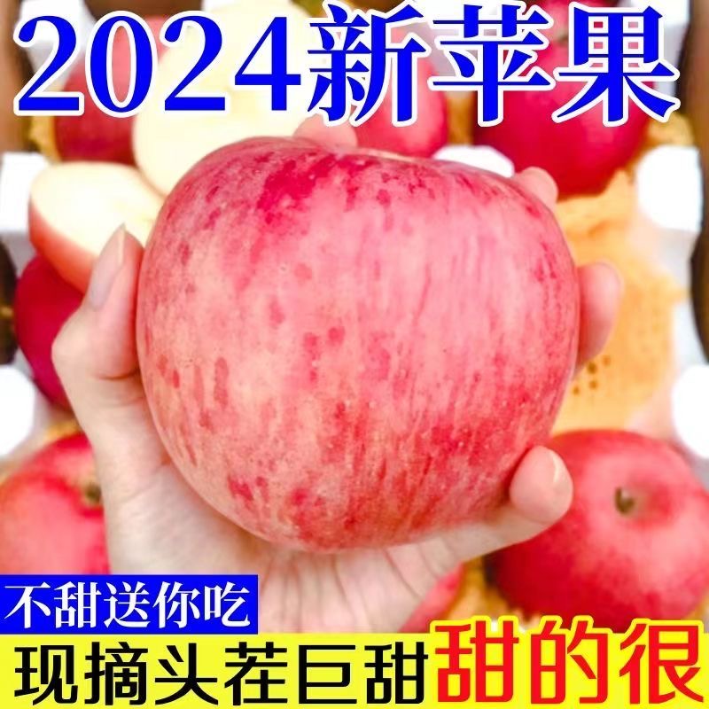 正宗陕西洛川苹果水果新鲜当季整箱一级红富士冰糖心脆甜10斤包邮