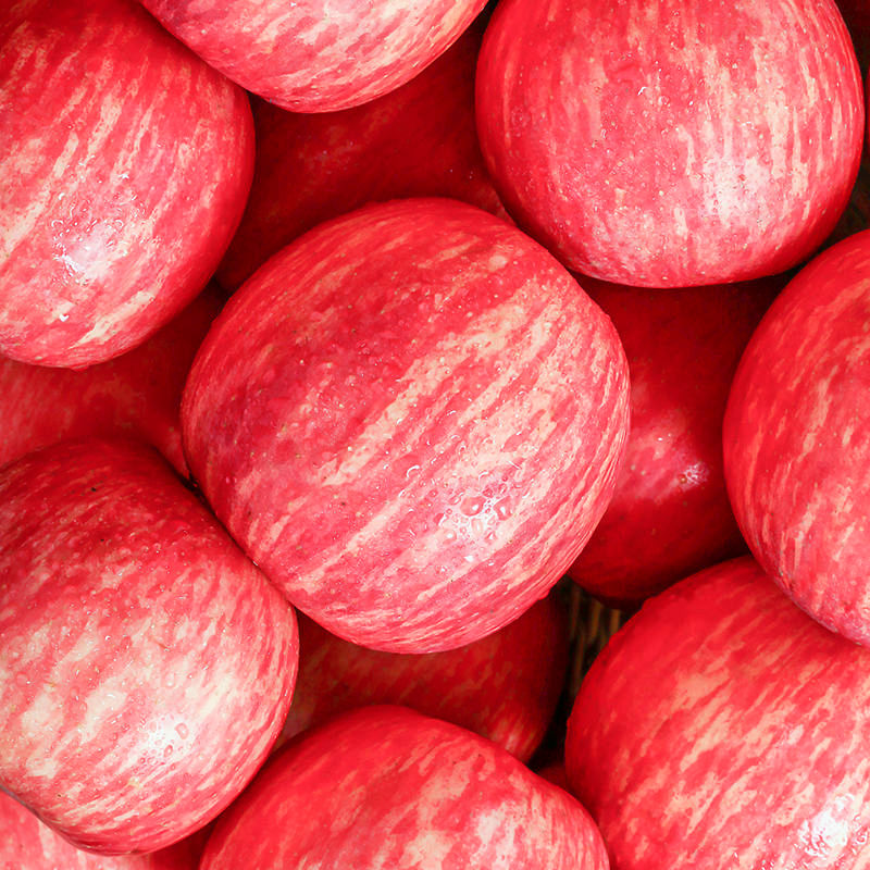 礼盒装正宗陕西洛川苹果水果新鲜当季整箱红富士一级脆甜10包邮斤