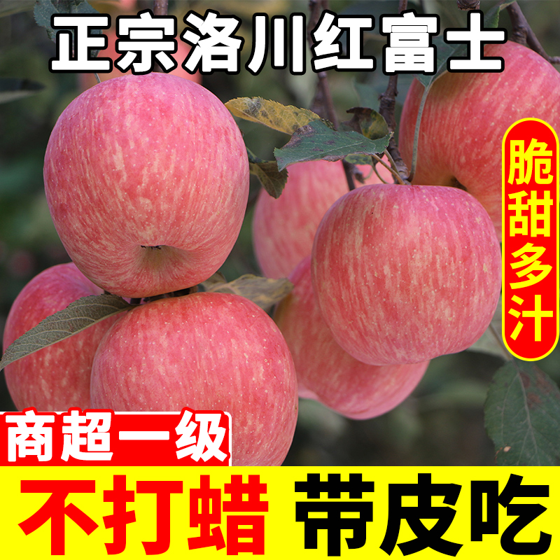 正宗洛川红富士苹果10水果新鲜当季整箱斤陕西脆甜时令一级果包邮