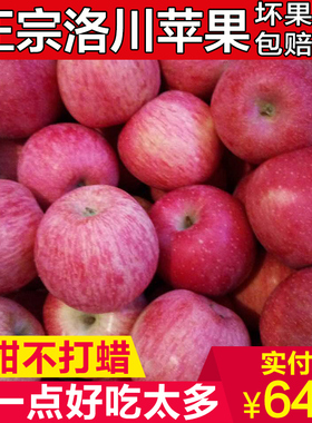 【包脆甜】正宗陕西延安洛川红富士苹果10斤新鲜水果冰糖心包邮