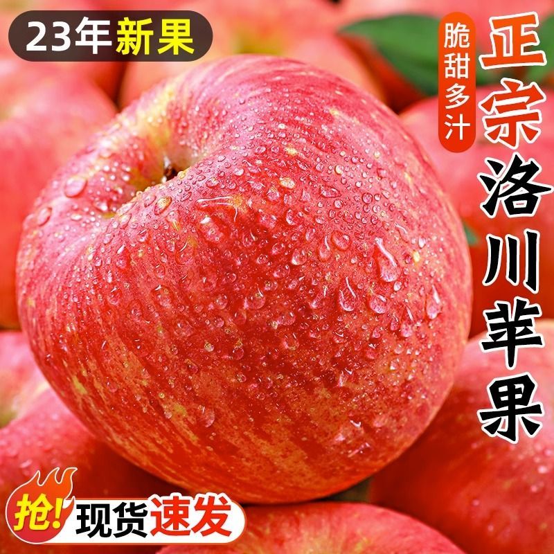 洛川苹果新鲜水果当季包邮整箱脆甜现摘陕西红富士10斤