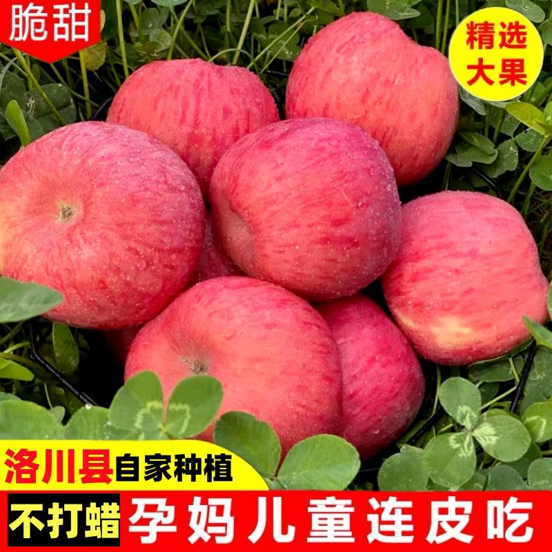 陕西正宗洛川红富士苹果水果应季甜脆多汁整箱10斤包邮新鲜平萍果