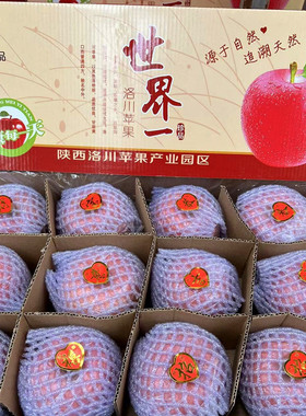 现货陕西洛川红富士苹果原箱10斤口感脆甜多汁 新鲜当季水果 包邮