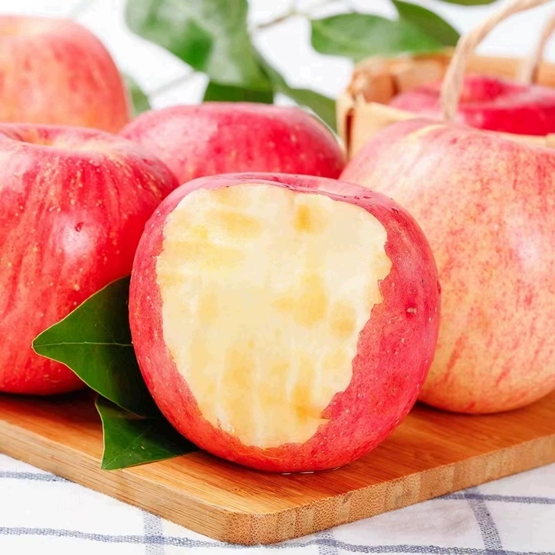 【顺丰包邮】正宗洛川苹果陕西红富士新鲜水果脆甜当季冰糖心10斤