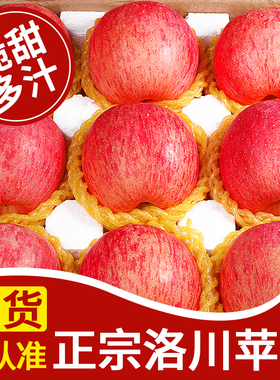 正宗陕西洛川苹果10斤水果新鲜当季红富士批发冰糖心脆甜整箱包邮