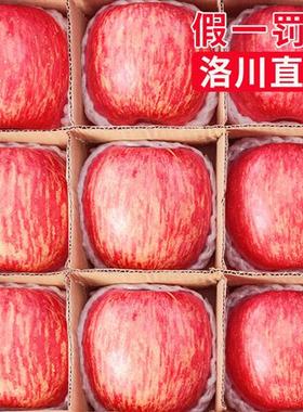 正宗陕西洛川苹果水果新鲜整箱当季红富士冰糖心脆甜10斤包邮