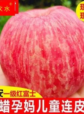 正宗洛川苹果9斤新鲜水果陕西红富士当季包邮整箱冰糖心脆甜大10
