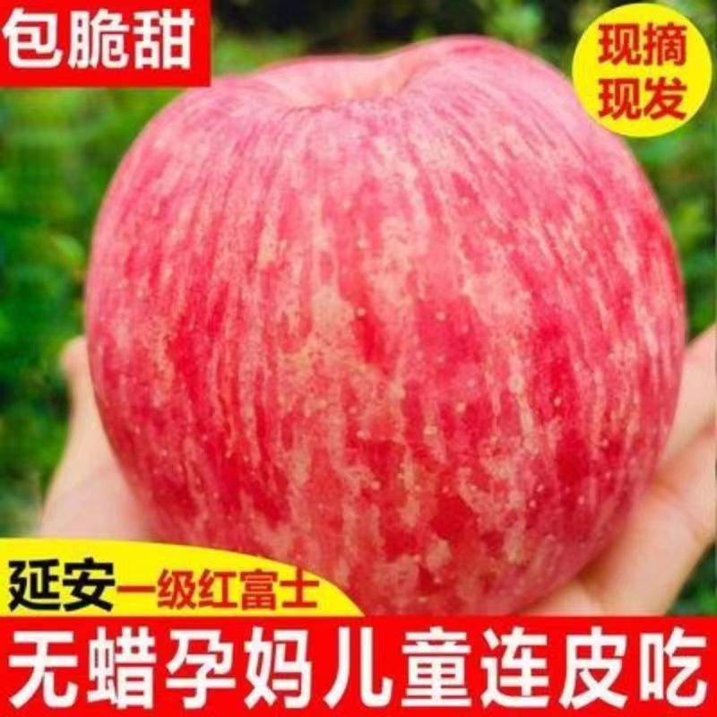正宗洛川苹果9斤新鲜水果陕西红富士当季包邮整箱冰糖心脆甜大10