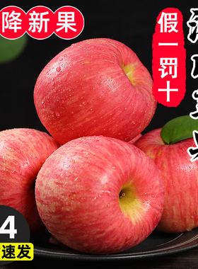 陕西洛川苹果水果新鲜当季整箱红富士冰糖心特级脆甜孕妇10斤包邮