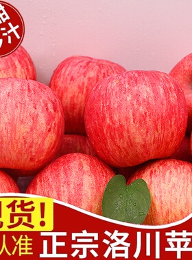 正宗陕西洛川苹果红富士新鲜当季现摘水果脆甜礼盒整箱10斤包邮