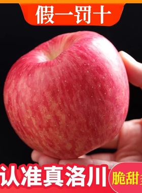 正宗陕西洛川红富士新鲜苹果一级脆甜水果10斤整箱包邮