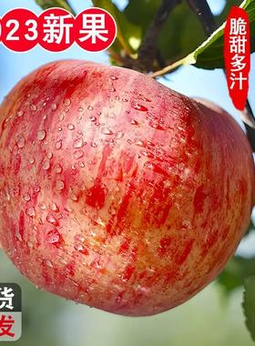陕西洛川正宗红富士苹果新鲜10斤顺丰包邮当季水果脆甜多汁冰糖心