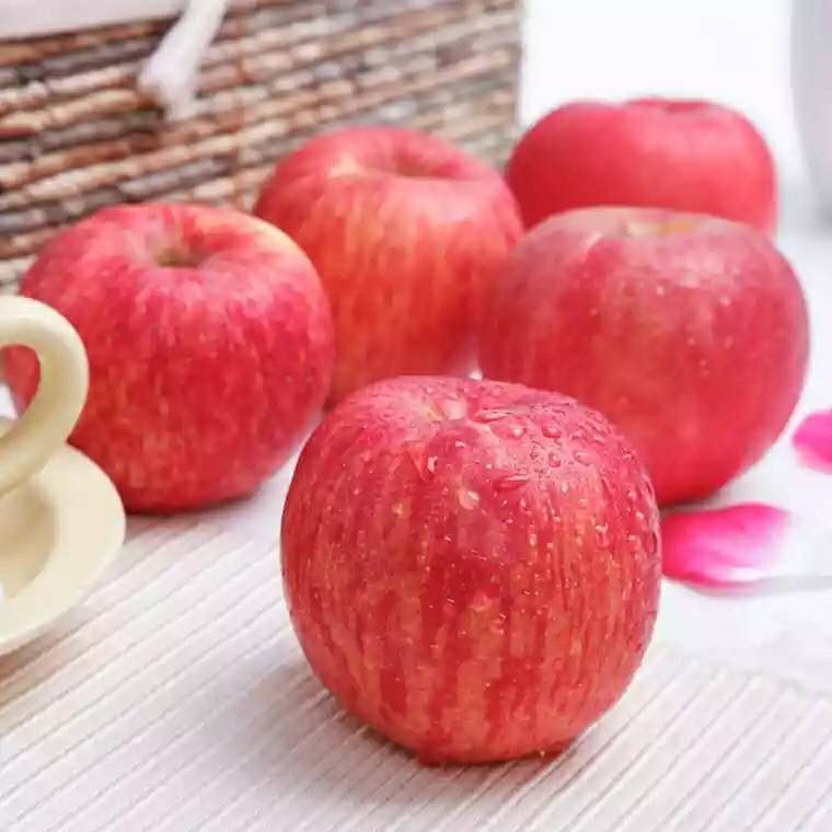 买5送5农户现摘陕西白水新鲜应季苹果10斤脆甜皮薄红富士