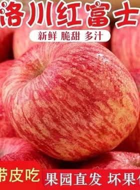 陕西延安洛川当季新鲜红富士苹果一级脆甜整箱10斤水果包邮