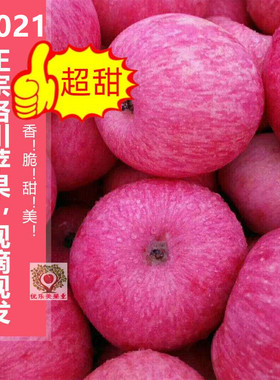 现货陕西正宗洛川红富士苹果冰糖心脆甜新鲜孕妇水果10斤包邮高端