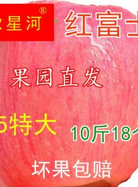 陕西礼泉当季红富士苹果孕妇水果丑苹果新鲜脆甜净重10斤包邮