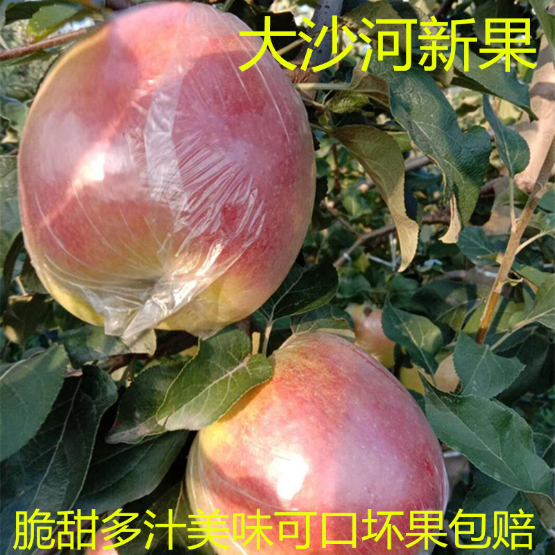 新鲜水果丰沛县大沙河红乾富士丑苹果整箱脆农甜孕妇有机10斤现摘