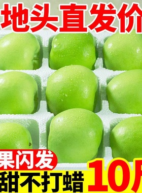 【现摘】青苹果脆甜酸甜苹果平果当季新鲜水果孕妇5/10斤整箱