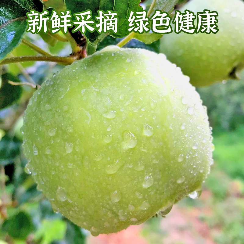 【热卖】青苹果新鲜酸脆孕妇水果低糖水果应季孕妇酸脆水果青苹果