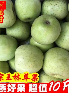正宗王林苹果新鲜水果脆甜多汁青苹果现摘9月当季整箱包邮10斤