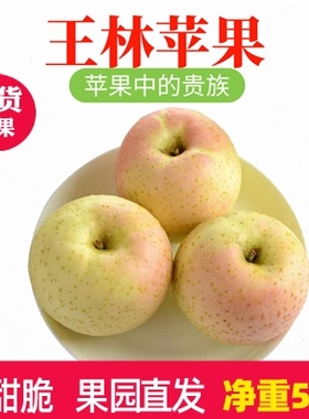 大连王林苹果新鲜水果非青森水蜜桃苹果甜脆青苹果5斤多省包邮