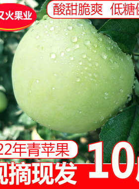 青苹果水果10斤孕妇酸脆甜新鲜平果绿萍果非红富士5斤3斤王林