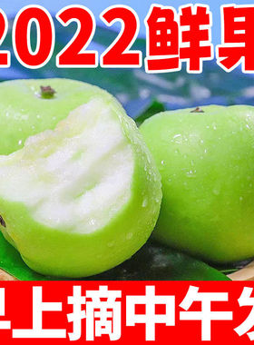 山西运城青苹果水果新鲜农产品酸甜鲜果孕妇酸水果新苹果10斤平果