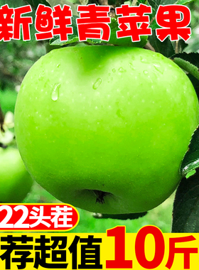 青苹果水果10斤新鲜水果当季整箱应季红青富士丑萍果带一十包邮
