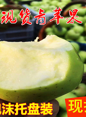2022年山西现货青苹果新鲜当季水果青酸甜孕妇5斤丑苹果红富士野