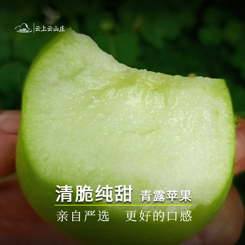 2024现摘当季云南脆甜青苹果新鲜老品种孕妇水果青香蕉早熟小苹果