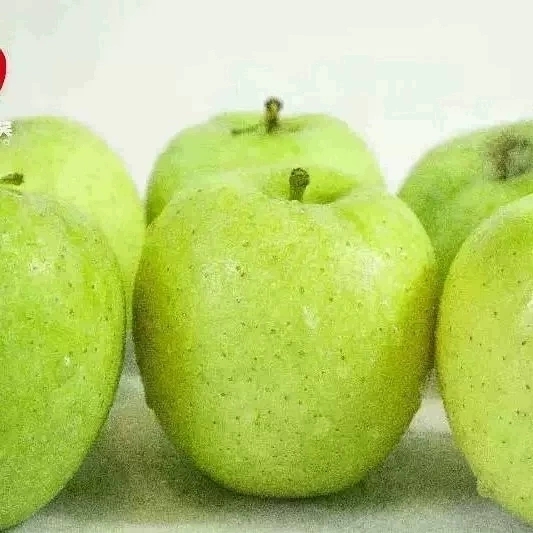 新疆阿克苏王林青苹果 酸甜滋味5.5斤大果 中果礼盒装 生鲜水果