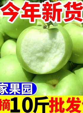 山西运城青苹果水果新鲜脆甜酸苹果应季当季孕妇水果现摘10斤包邮