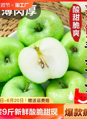 正宗青苹果9斤新鲜水果小苹果孕妇水果整箱包邮在线自然甄选产地