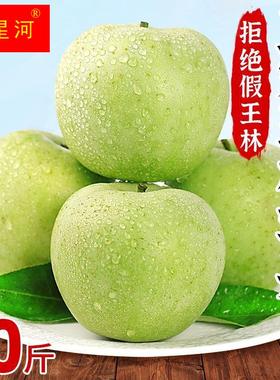正宗王林青苹果10斤新鲜水果应当季整箱5斤脆甜非新疆王林9丑苹果
