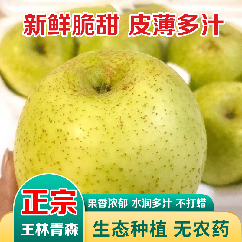 正宗王林青苹果新鲜水果青森明月水蜜桃苹果当季孕妇现摘脆甜大果