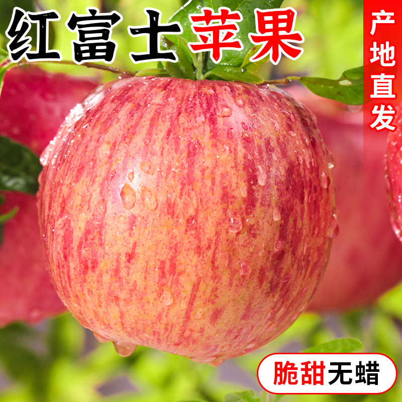 正宗山东烟台红富士苹果10斤新鲜水果应当季栖霞萍果脆甜青丑平果
