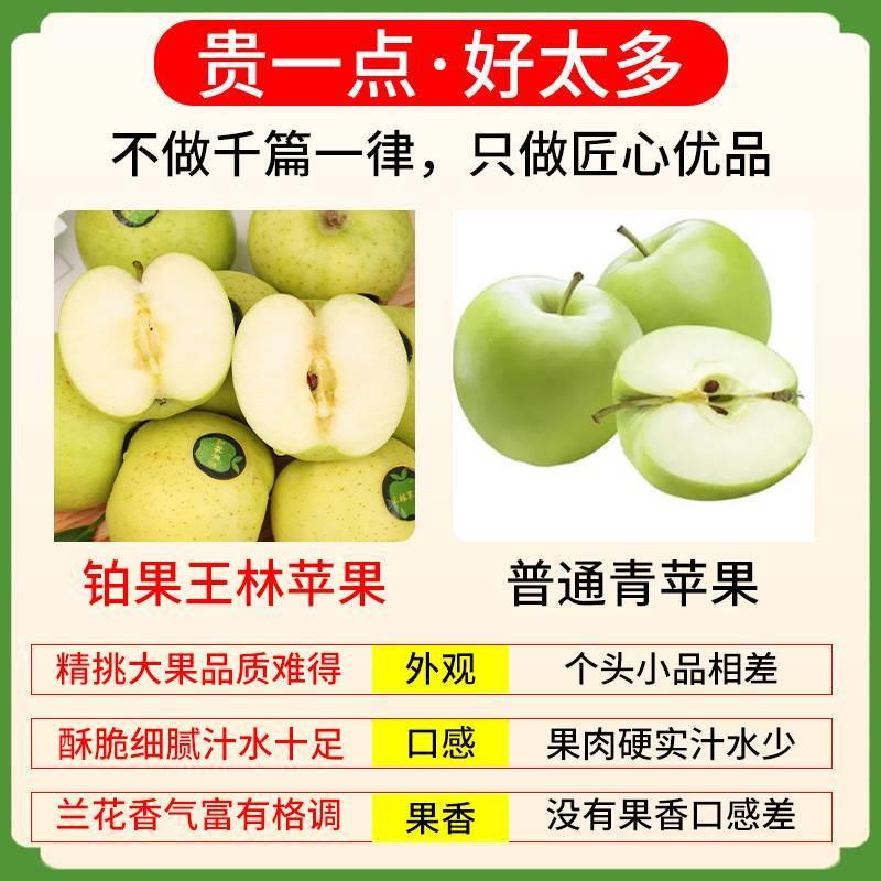 顺丰10斤正宗王林苹果新鲜水果当季脆甜雀斑青苹果青森丑苹果孕妇