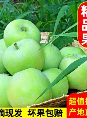 【现摘现发】陕西当季水果新鲜青苹果3-9斤酸甜多汁孕妇水果整箱
