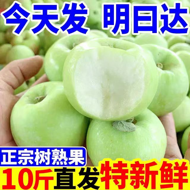 现摘新鲜青苹果当季脆甜可口小青苹果水果新鲜苹果9斤绿苹果3/5