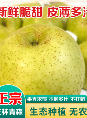 正宗王林青苹果新鲜水果青森明月水蜜桃苹果当季孕妇现摘脆甜大果