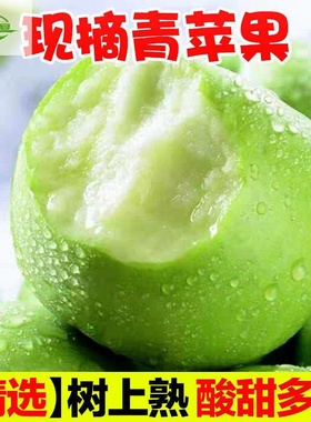 山西运城青苹果水果新鲜农产品孕妇酸水果新苹果10斤平果顺丰