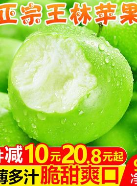 正宗王林苹果9斤 新鲜时令孕妇水果应当季现摘酸甜青萍果整箱