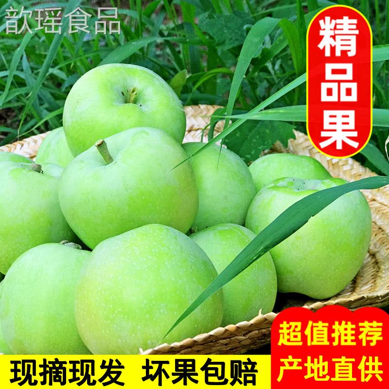 山西青苹果新鲜水果现摘现发应季酸甜多汁小绿平果3/5/9斤整箱
