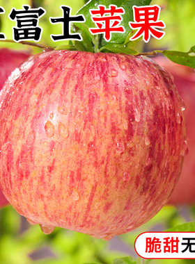 正宗山东烟台红富士苹果10斤新鲜水果应当季栖霞萍果脆甜青丑平果