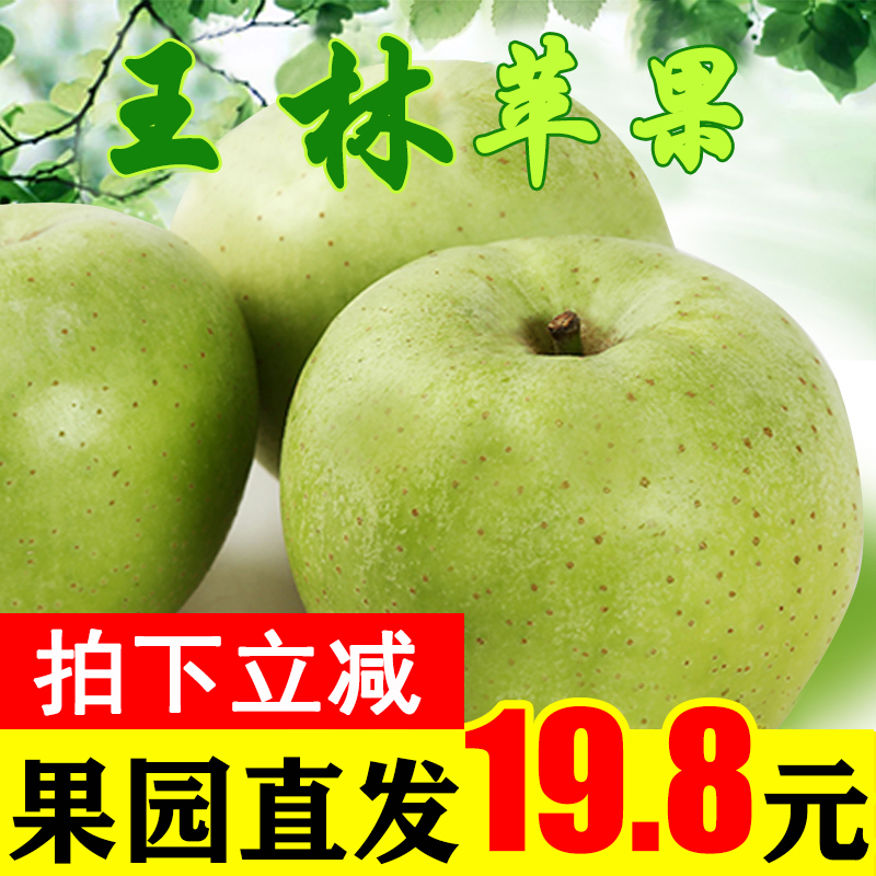 王林苹果青苹果水果丑苹果新鲜5斤9斤包邮水果新鲜当季整箱酸甜10